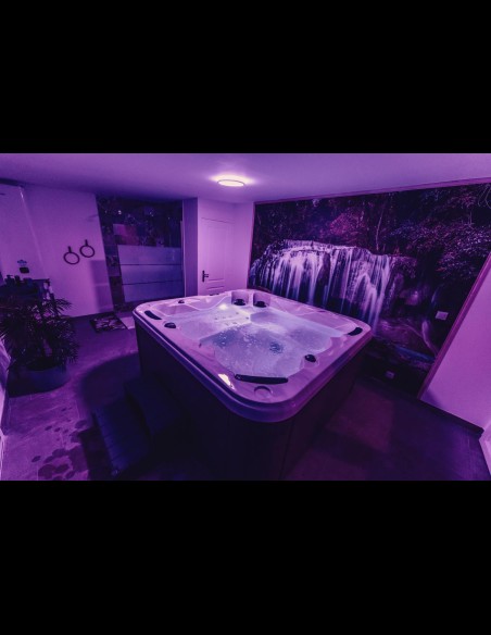 Love Room l'Écrin Tropical en location pour la journée - Chambre d'hôtes Béthune et Lens