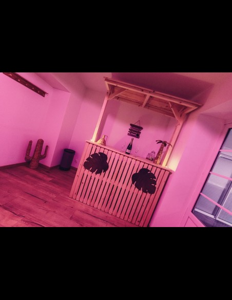 Love Room l'Écrin Tropical en location pour la journée - Chambre d'hôtes Béthune et Lens