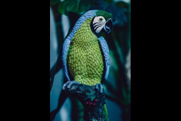 Love Room l'Écrin Tropical en location pour la journée - Chambre d'hôtes Béthune et Lens