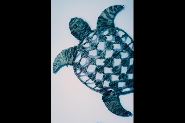 Love Room l'Écrin Tropical en location pour la journée - Chambre d'hôtes Béthune et Lens