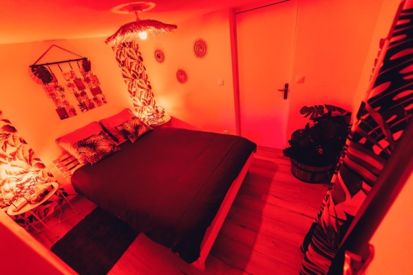 Love Room l'Écrin Tropical en location pour la journée - Chambre d'hôtes Béthune et Lens
