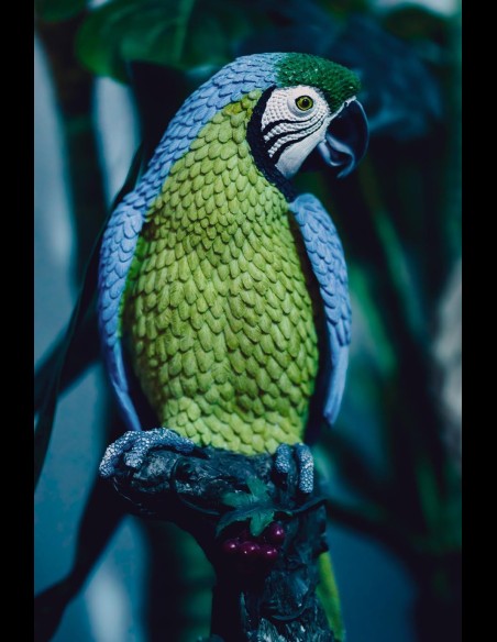 Love Room l'Écrin Tropical en location pour la nuit - Chambre d'hôtes Béthune et Lens