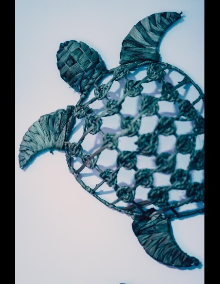 Love Room l'Écrin Tropical en location pour la nuit - Chambre d'hôtes Béthune et Lens