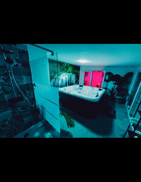 Love Room l'Écrin Tropical en location pour la nuit - Chambre d'hôtes Béthune et Lens