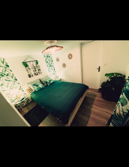 Love Room l'Écrin Tropical en location pour la nuit - Chambre d'hôtes Béthune et Lens