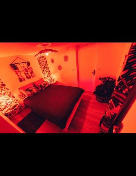 Love Room l'Écrin Tropical en location pour la nuit - Chambre d'hôtes Béthune et Lens