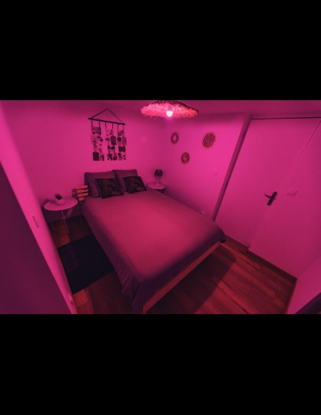 Love Room l'Écrin Tropical en location pour la nuit - Chambre d'hôtes Béthune et Lens