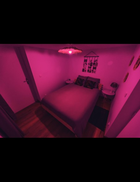 Love Room l'Écrin Tropical en location pour la nuit - Chambre d'hôtes Béthune et Lens