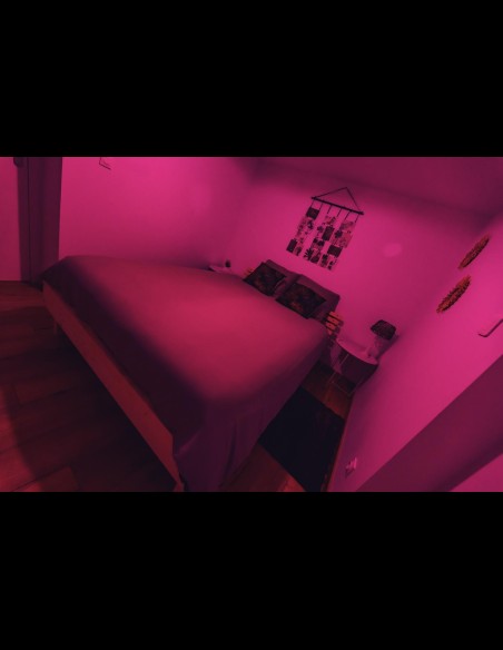 Love Room l'Écrin Tropical en location pour la nuit - Chambre d'hôtes Béthune et Lens