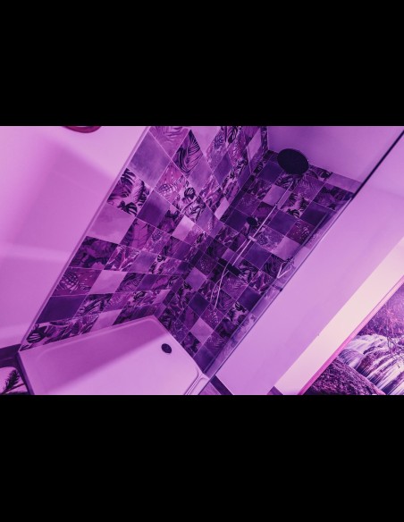 Love Room l'Écrin Tropical en location pour la nuit - Chambre d'hôtes Béthune et Lens