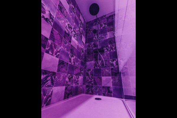 Love Room l'Écrin Tropical en location pour la nuit - Chambre d'hôtes Béthune et Lens