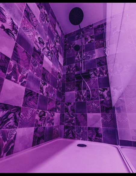 Love Room l'Écrin Tropical en location pour la nuit - Chambre d'hôtes Béthune et Lens