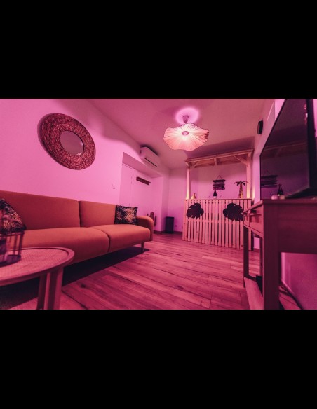 Love Room l'Écrin Tropical en location pour la nuit - Chambre d'hôtes Béthune et Lens