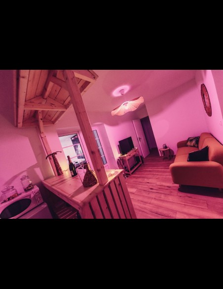Love Room l'Écrin Tropical en location pour la nuit - Chambre d'hôtes Béthune et Lens
